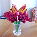 tulips with red flowers